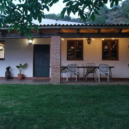 The Wild Olive Andalucia Palma Guestroom 卡萨雷斯 外观 照片