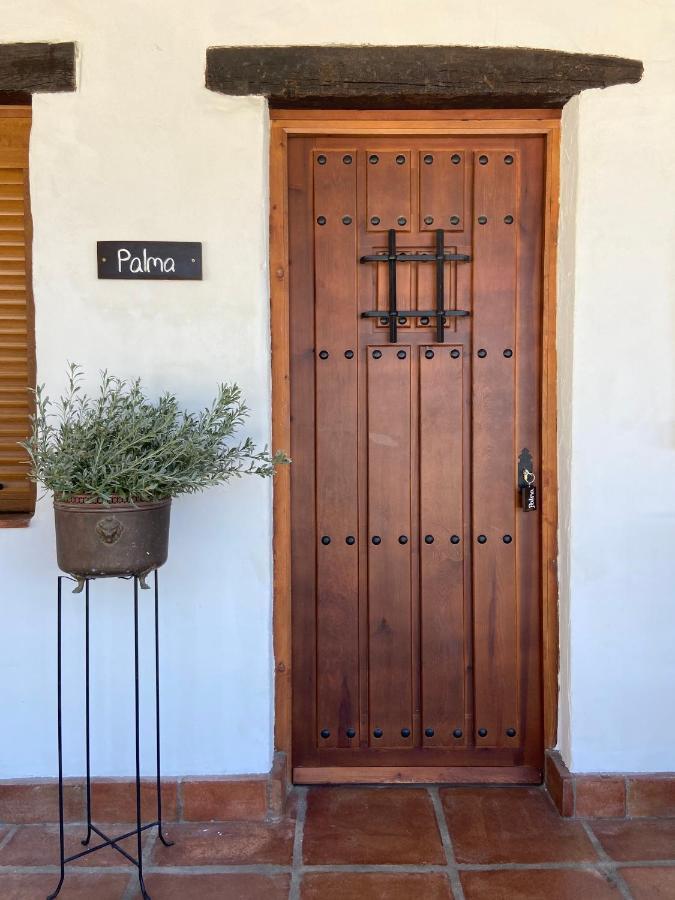 The Wild Olive Andalucia Palma Guestroom 卡萨雷斯 外观 照片